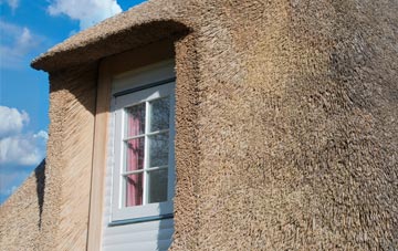 Okus thatch roof disadvantages