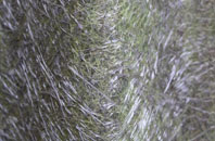 Okus fibreglass roof work
